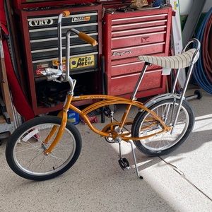 Meet your Posher, Riley